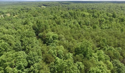 Photo #6 of SOLD property in Off Warminster Church Rd, Buckingham, VA 49.5 acres