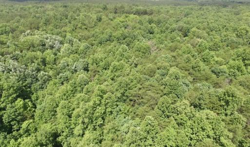 Photo #7 of SOLD property in Off Warminster Church Rd, Buckingham, VA 49.5 acres