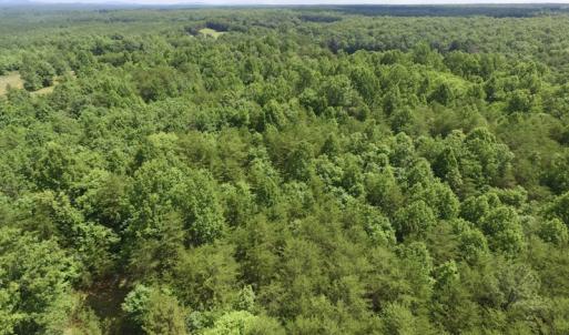 Photo #8 of SOLD property in Off Warminster Church Rd, Buckingham, VA 49.5 acres