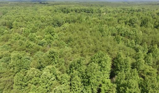 Photo #9 of SOLD property in Off Warminster Church Rd, Buckingham, VA 49.5 acres