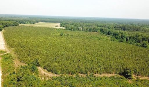 Photo #2 of SOLD property in Off Brink Road, Emporia, VA 190.0 acres