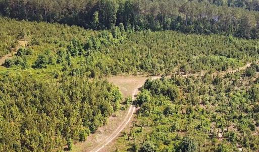 Photo #3 of SOLD property in Off Brink Road, Emporia, VA 190.0 acres