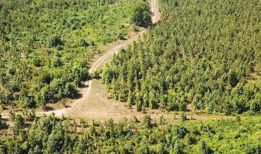 Photo #4 of SOLD property in Off Brink Road, Emporia, VA 190.0 acres