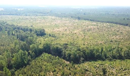 Photo #6 of SOLD property in Off Brink Road, Emporia, VA 190.0 acres