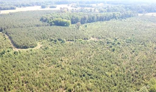 Photo #7 of SOLD property in Off Brink Road, Emporia, VA 190.0 acres