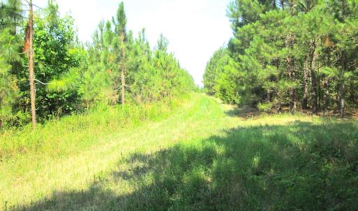 Photo #15 of SOLD property in Off Brink Road, Emporia, VA 190.0 acres