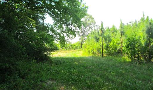 Photo #16 of SOLD property in Off Brink Road, Emporia, VA 190.0 acres