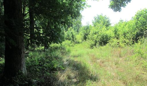 Photo #17 of SOLD property in Off Brink Road, Emporia, VA 190.0 acres