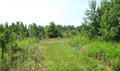Photo #19 of SOLD property in Off Brink Road, Emporia, VA 190.0 acres
