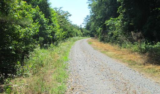 Photo #25 of SOLD property in Off Brink Road, Emporia, VA 190.0 acres