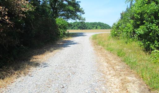 Photo #26 of SOLD property in Off Brink Road, Emporia, VA 190.0 acres
