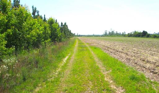 Photo #27 of SOLD property in Off Brink Road, Emporia, VA 190.0 acres
