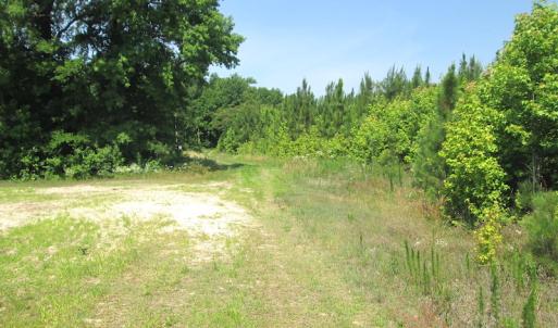 Photo #28 of SOLD property in Off Brink Road, Emporia, VA 190.0 acres