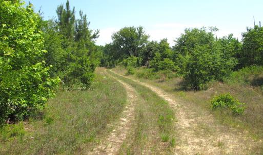 Photo #30 of SOLD property in Off Brink Road, Emporia, VA 190.0 acres