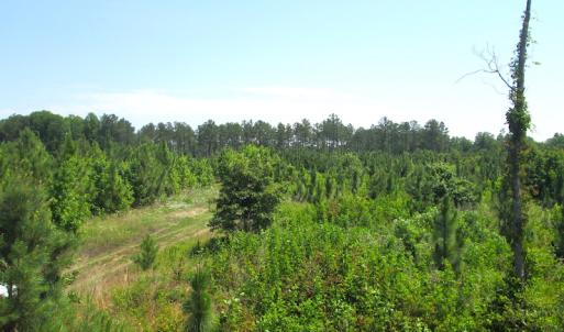 Photo #32 of SOLD property in Off Brink Road, Emporia, VA 190.0 acres