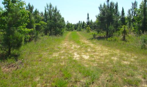 Photo #34 of SOLD property in Off Brink Road, Emporia, VA 190.0 acres