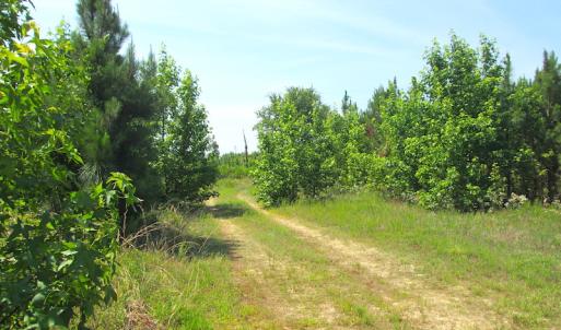 Photo #35 of SOLD property in Off Brink Road, Emporia, VA 190.0 acres