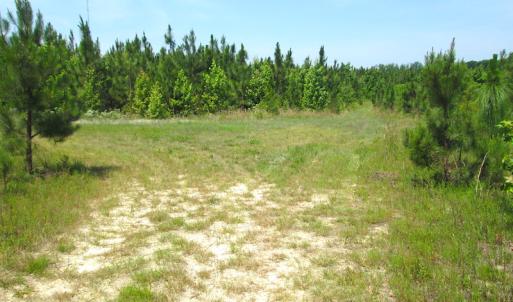 Photo #37 of SOLD property in Off Brink Road, Emporia, VA 190.0 acres