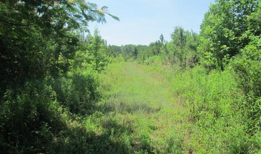 Photo #40 of SOLD property in Off Brink Road, Emporia, VA 190.0 acres