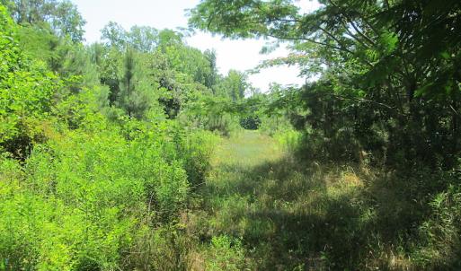 Photo #41 of SOLD property in Off Brink Road, Emporia, VA 190.0 acres