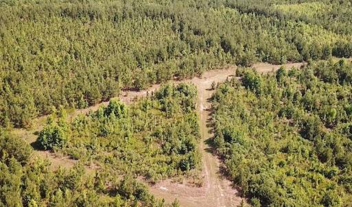 Photo #2 of SOLD property in Off Brink Road, Emporia, VA 97.0 acres