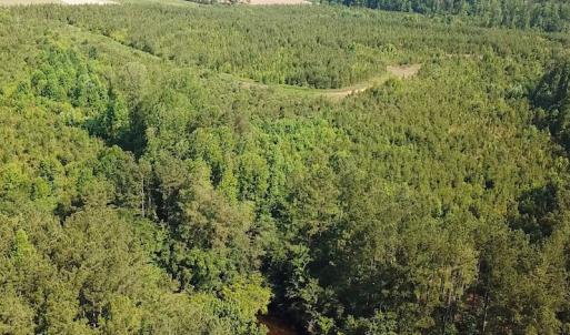 Photo #5 of SOLD property in Off Brink Road, Emporia, VA 97.0 acres