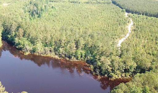 Photo #6 of SOLD property in Off Brink Road, Emporia, VA 97.0 acres
