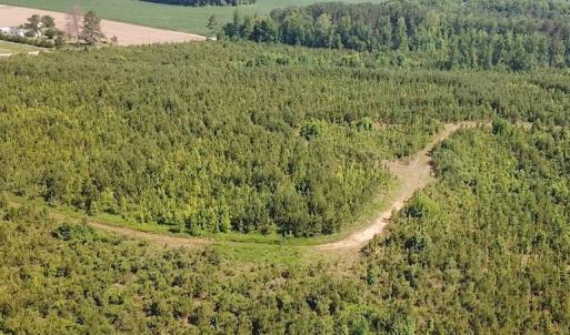 Photo #7 of SOLD property in Off Brink Road, Emporia, VA 97.0 acres