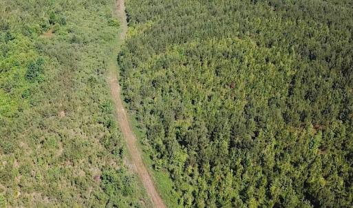 Photo #8 of SOLD property in Off Brink Road, Emporia, VA 97.0 acres