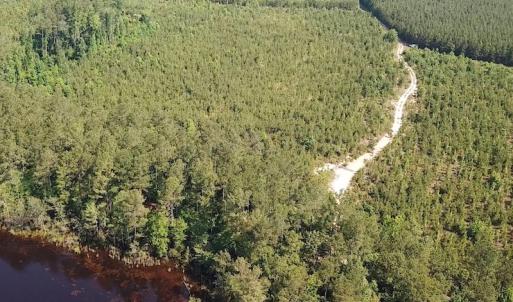 Photo #9 of SOLD property in Off Brink Road, Emporia, VA 97.0 acres