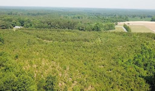 Photo #11 of SOLD property in Off Brink Road, Emporia, VA 97.0 acres