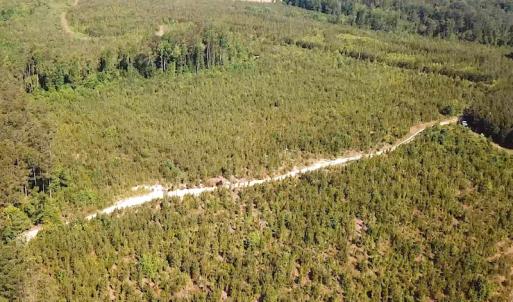 Photo #13 of SOLD property in Off Brink Road, Emporia, VA 97.0 acres