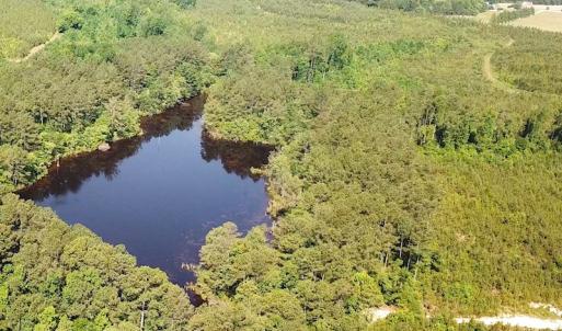 Photo #14 of SOLD property in Off Brink Road, Emporia, VA 97.0 acres
