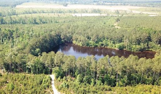 Photo #15 of SOLD property in Off Brink Road, Emporia, VA 97.0 acres
