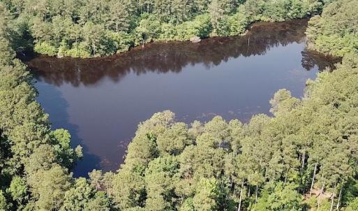 Photo #16 of SOLD property in Off Brink Road, Emporia, VA 97.0 acres