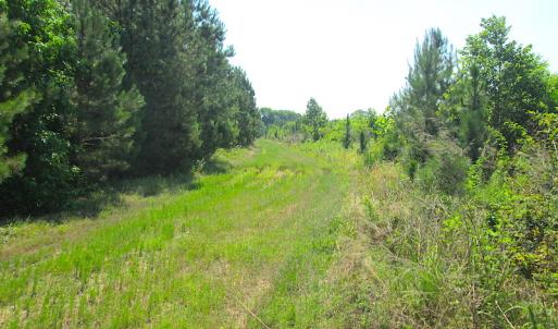 Photo #18 of SOLD property in Off Brink Road, Emporia, VA 97.0 acres