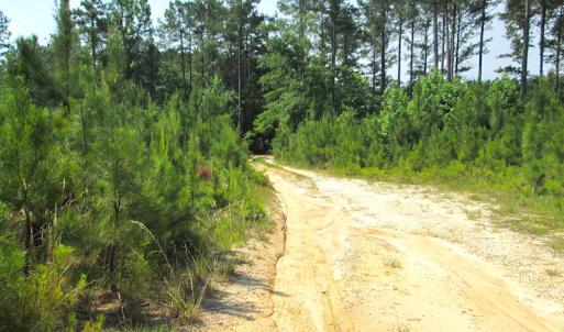 Photo #20 of SOLD property in Off Brink Road, Emporia, VA 97.0 acres