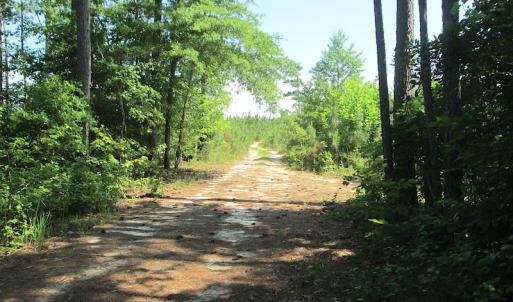 Photo #22 of SOLD property in Off Brink Road, Emporia, VA 97.0 acres