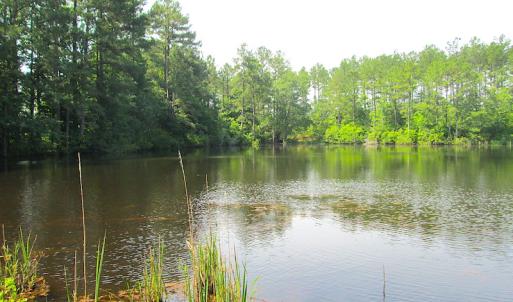 Photo #24 of SOLD property in Off Brink Road, Emporia, VA 97.0 acres