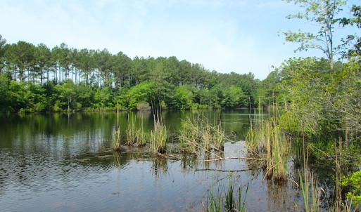 Photo #25 of SOLD property in Off Brink Road, Emporia, VA 97.0 acres