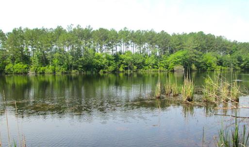 Photo #26 of SOLD property in Off Brink Road, Emporia, VA 97.0 acres