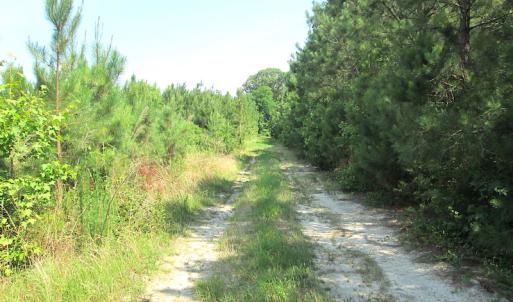 Photo #27 of SOLD property in Off Brink Road, Emporia, VA 97.0 acres