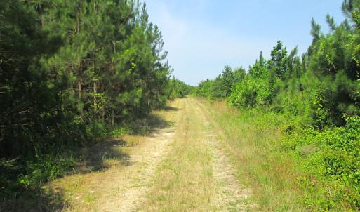 Photo #29 of SOLD property in Off Brink Road, Emporia, VA 97.0 acres