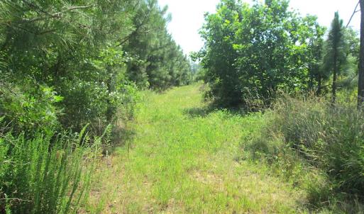 Photo #30 of SOLD property in Off Brink Road, Emporia, VA 97.0 acres