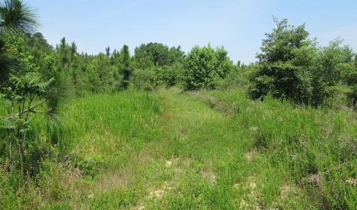 Photo #31 of SOLD property in Off Brink Road, Emporia, VA 97.0 acres