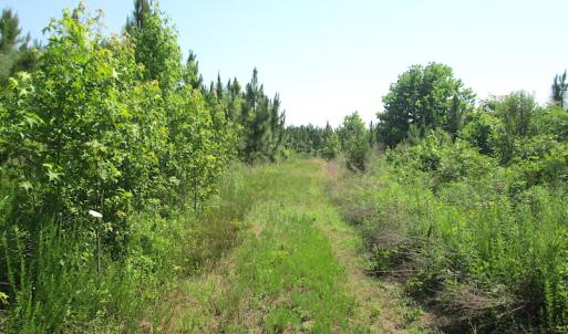Photo #32 of SOLD property in Off Brink Road, Emporia, VA 97.0 acres