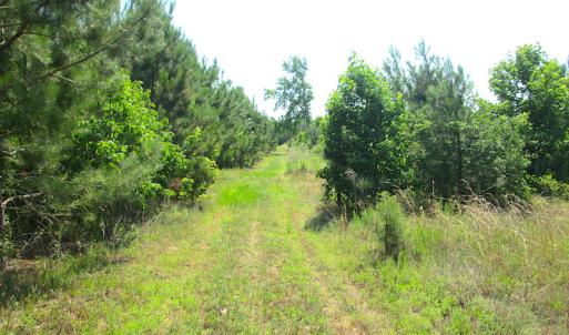 Photo #37 of SOLD property in Off Brink Road, Emporia, VA 97.0 acres