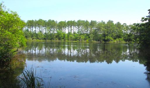 Photo #38 of SOLD property in Off Brink Road, Emporia, VA 97.0 acres