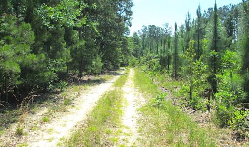 Photo #43 of SOLD property in Off Brink Road, Emporia, VA 97.0 acres