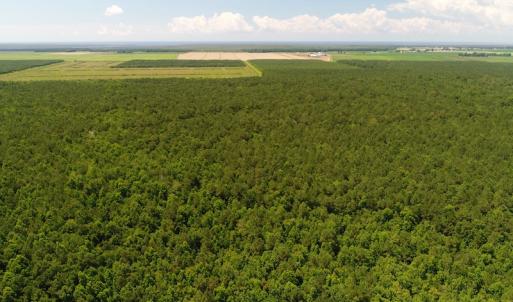 Photo #5 of Off Hwy 264, Swan Quarter, NC 252.0 acres